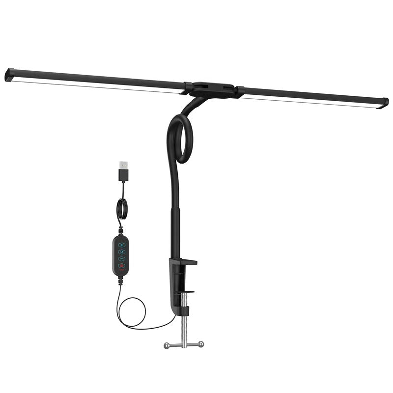 Double Head LED Desk Lamp