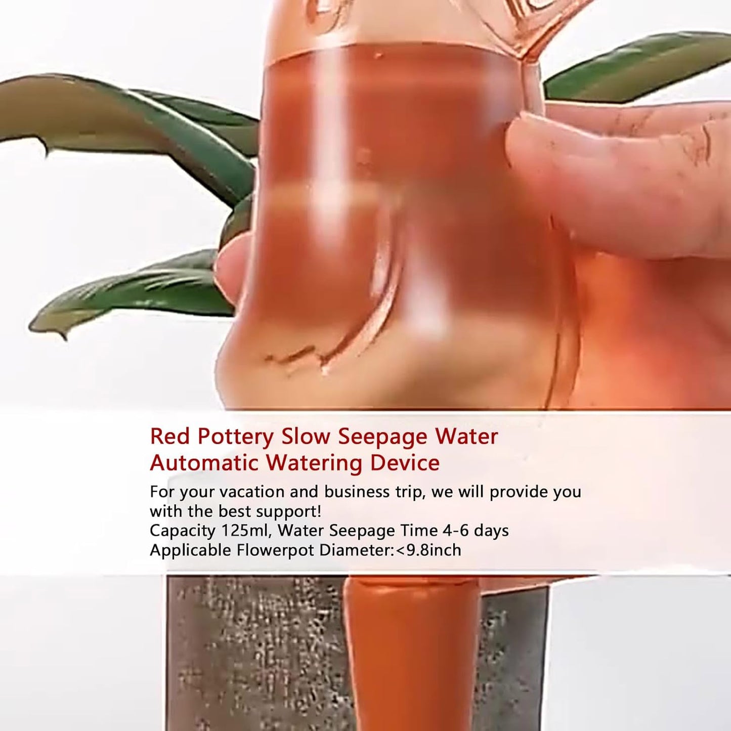 Self Watering Spike