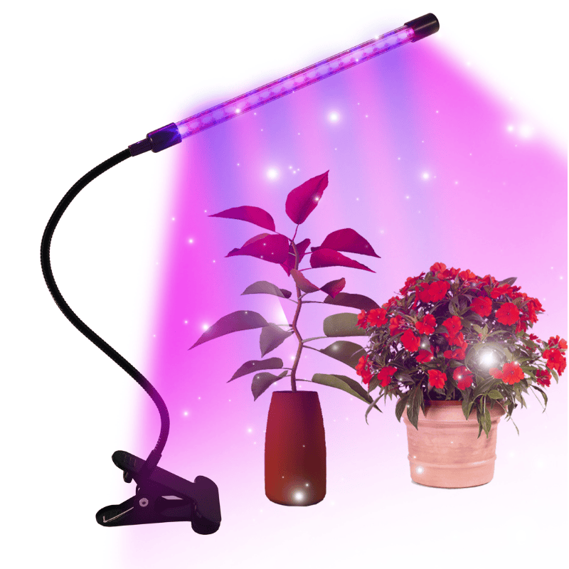 LED Grow Lights for Indoor Plants