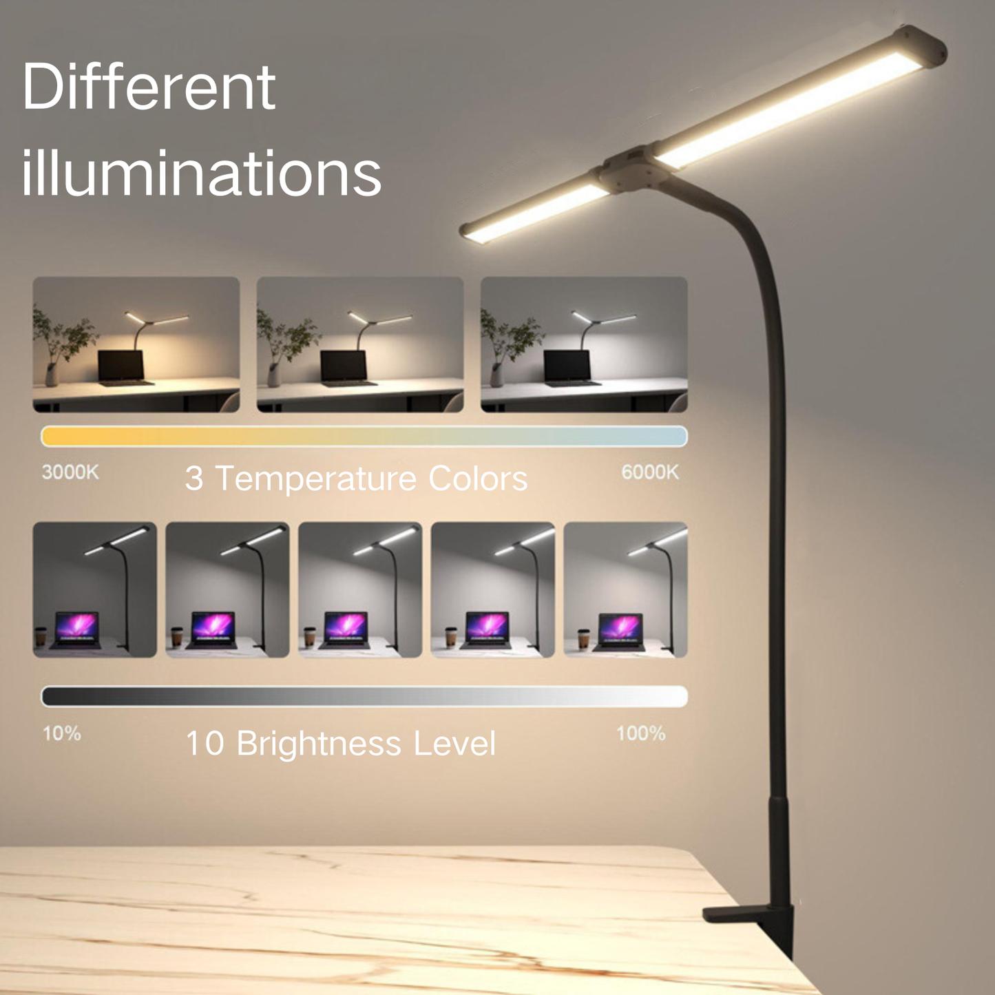 Double Head LED Desk Lamp