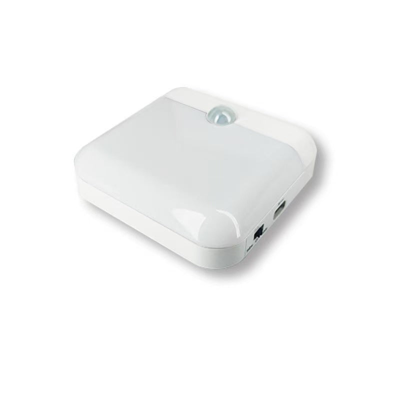 Rechargeable Motion Sensor Light