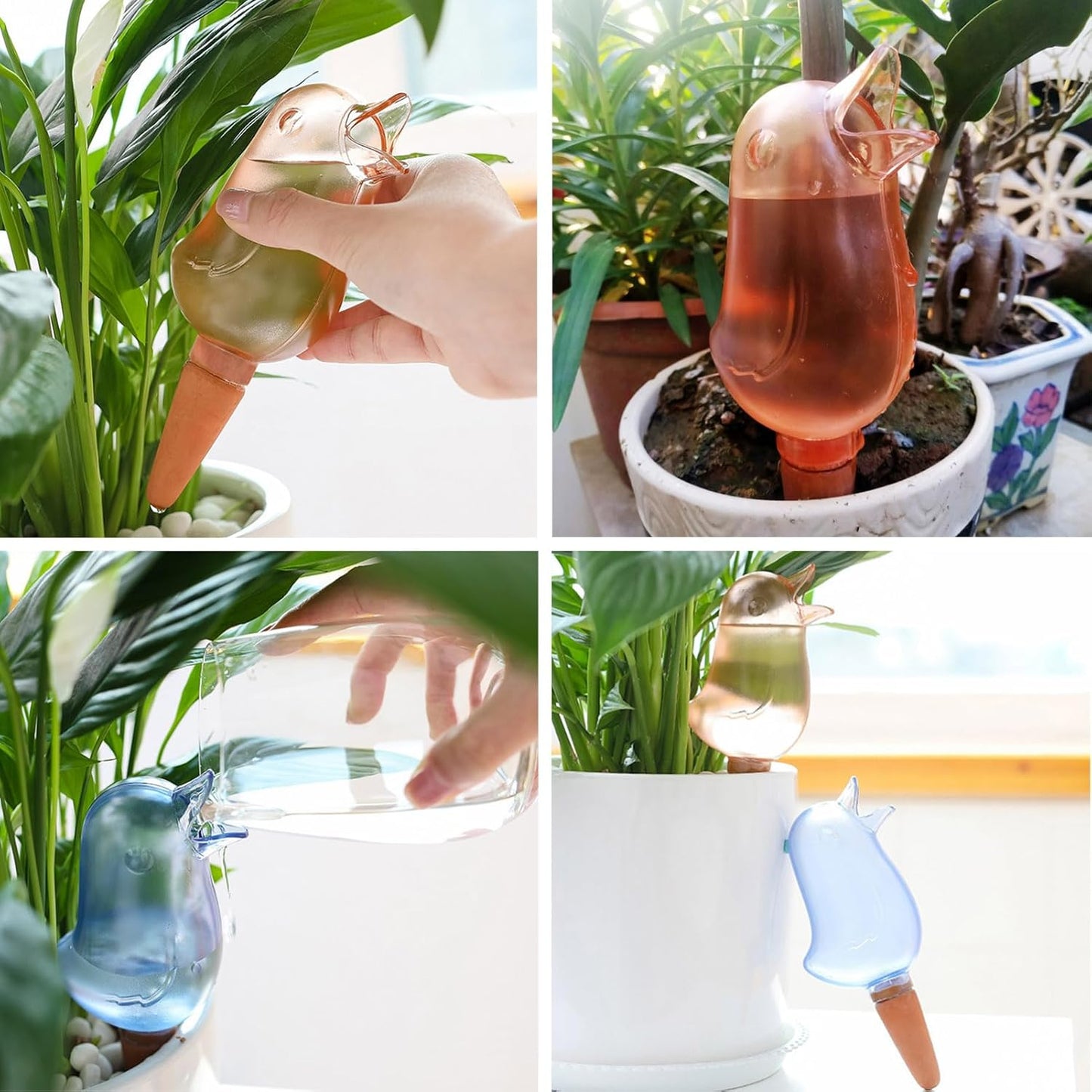 Self Watering Spike