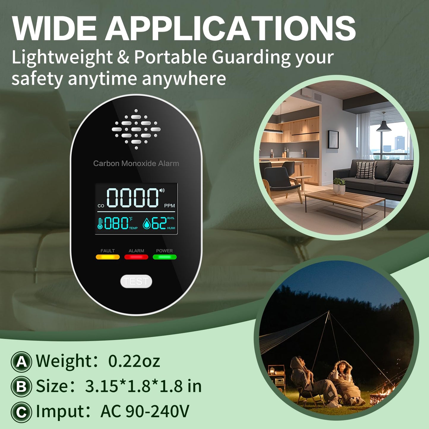 Carbon Monoxide Alarm