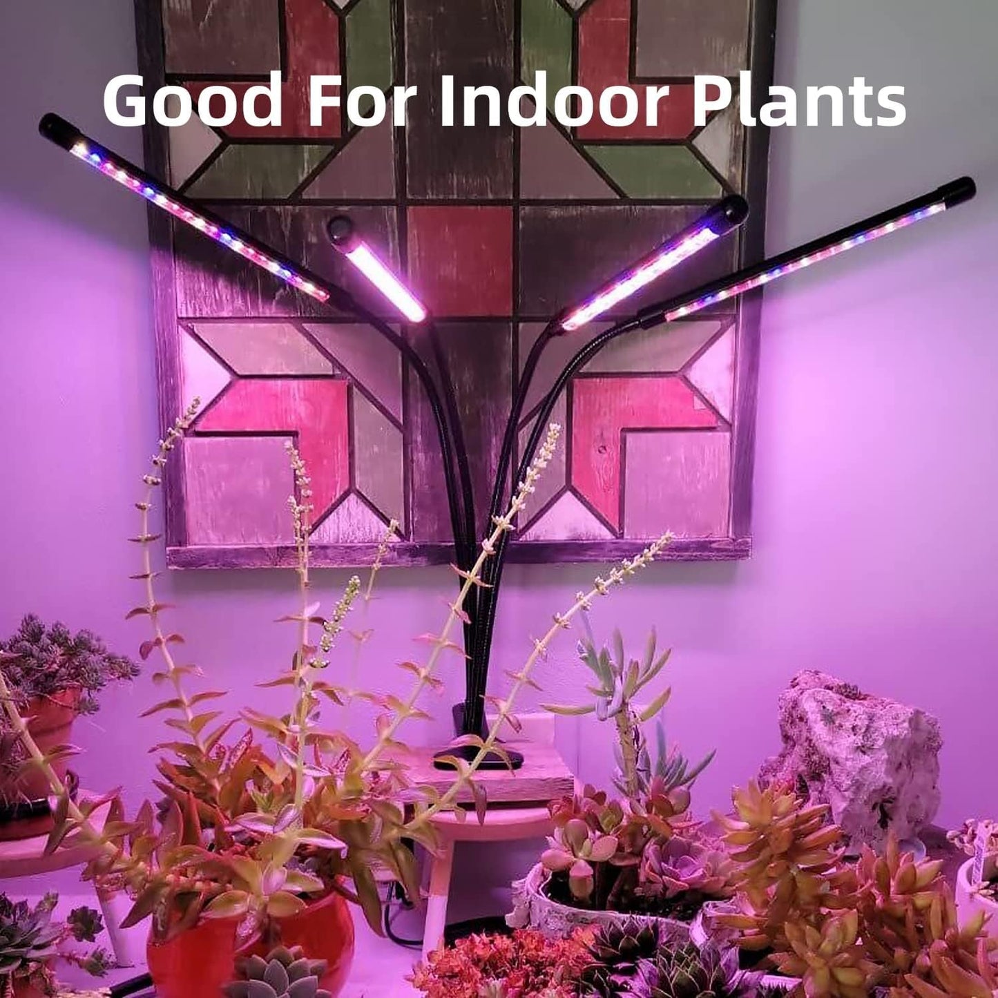LED Grow Lights for Indoor Plants