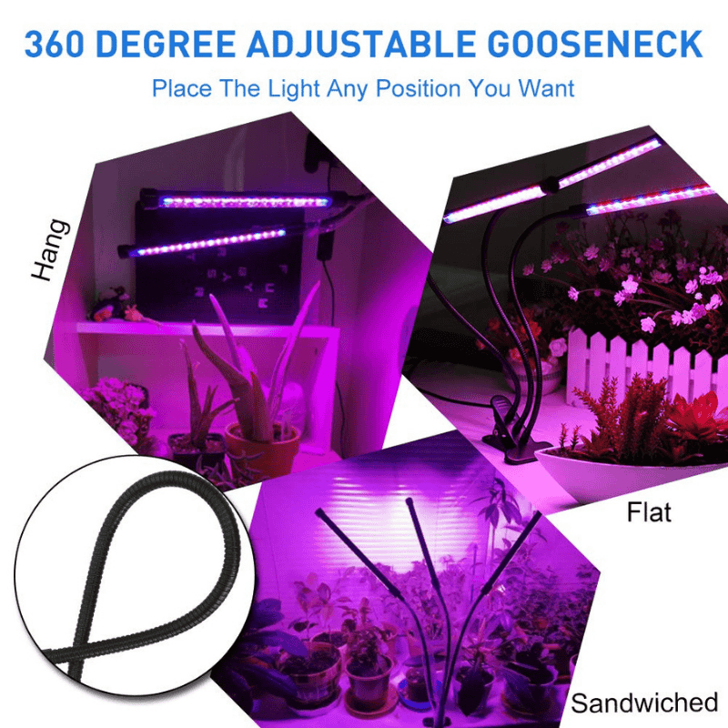 LED Grow Lights for Indoor Plants