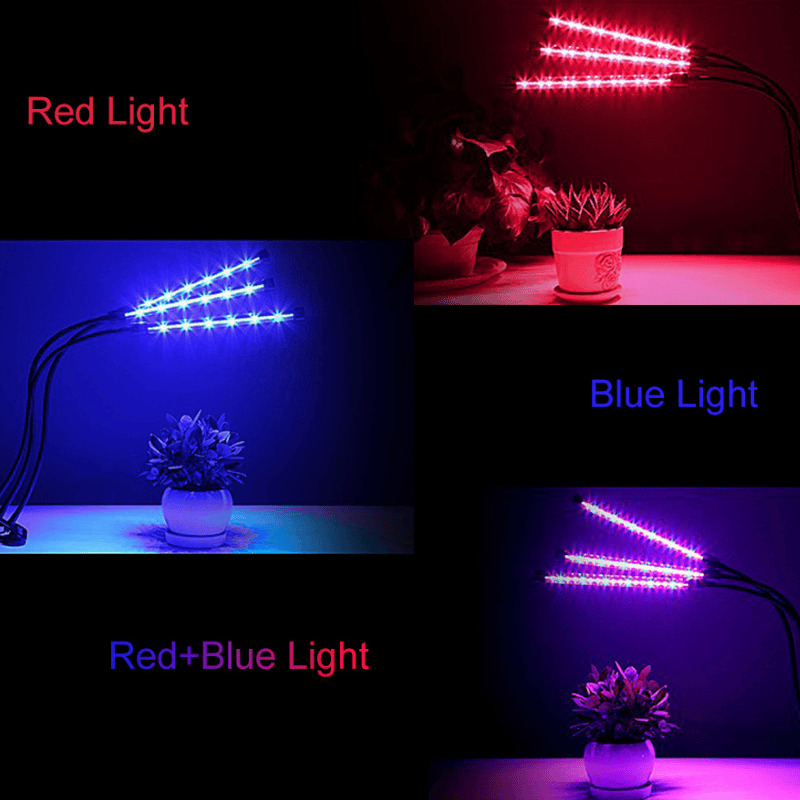 LED Grow Lights for Indoor Plants